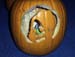 Pumpkin gallery - 13
